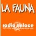 Especial de La Fauna con acústico de Saña