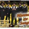 herencia-de-sangre-de-los-hermanos-avila